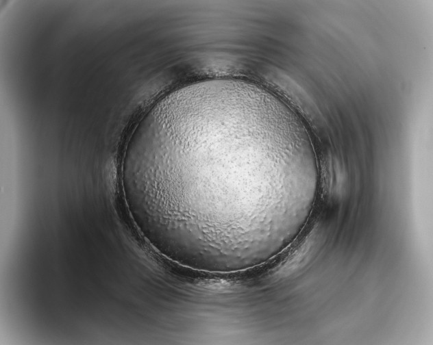 X0000094190453200710261135