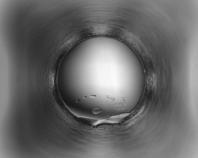 X0000094190454200710261135
