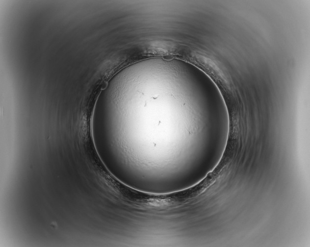 X0000094190457200710261135