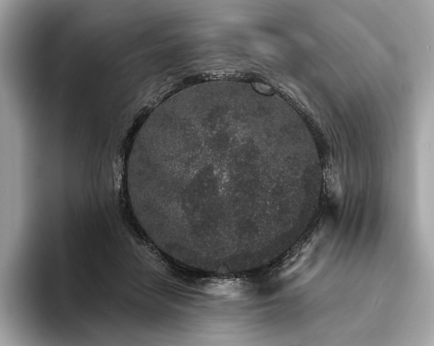 X0000094190458200710261135