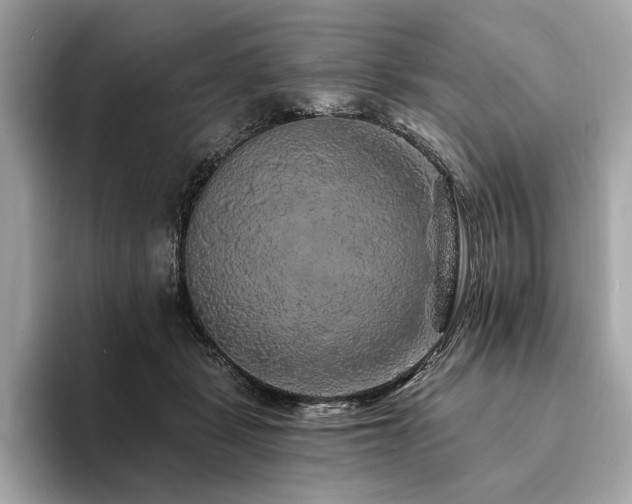 X0000094190461200710261135