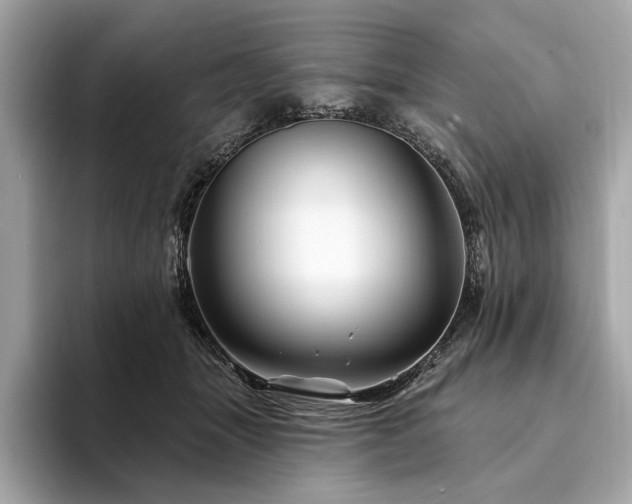 X0000094190463200710261135