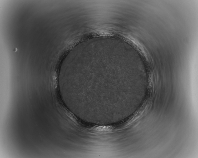 X0000094190465200710261135
