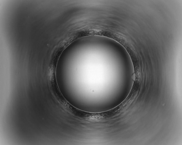 X0000094190468200710261135