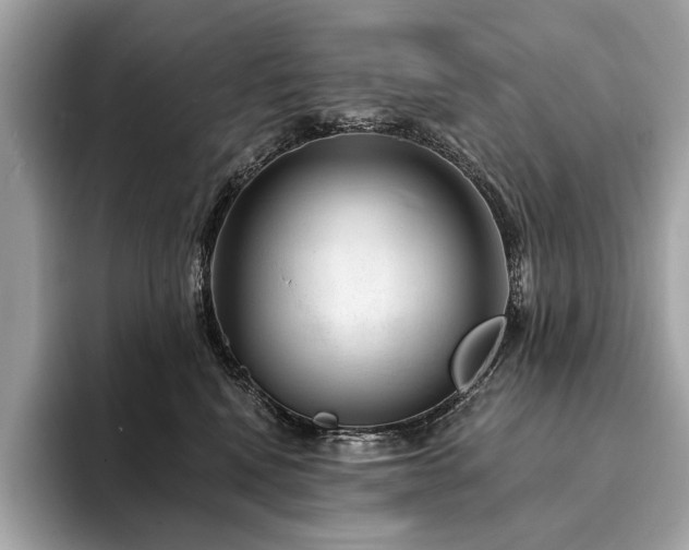 X0000094190472200710261135