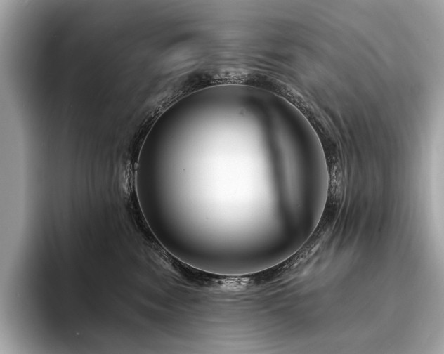 X0000094190474200710261135