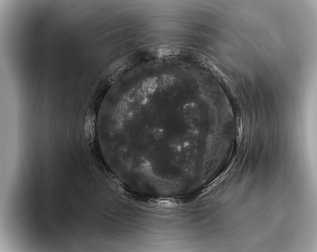 X0000094190475200710261135