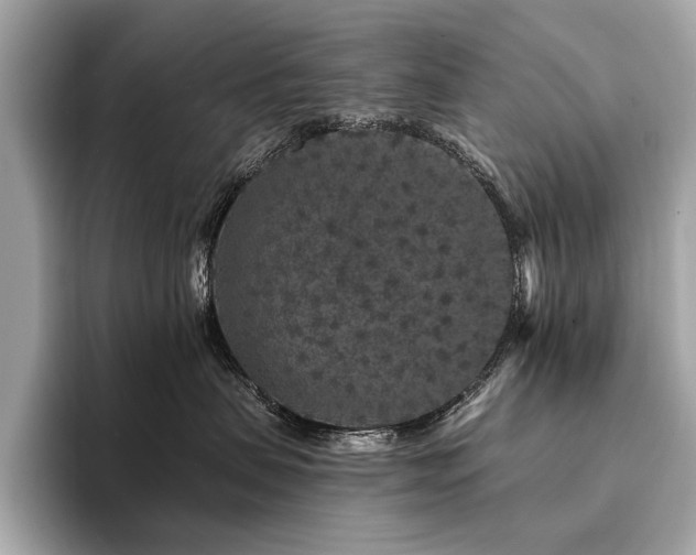 X0000094190479200710261135