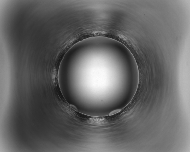 X0000094190480200710261135