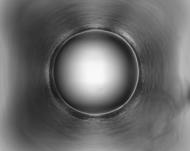 X0000094190482200710261134