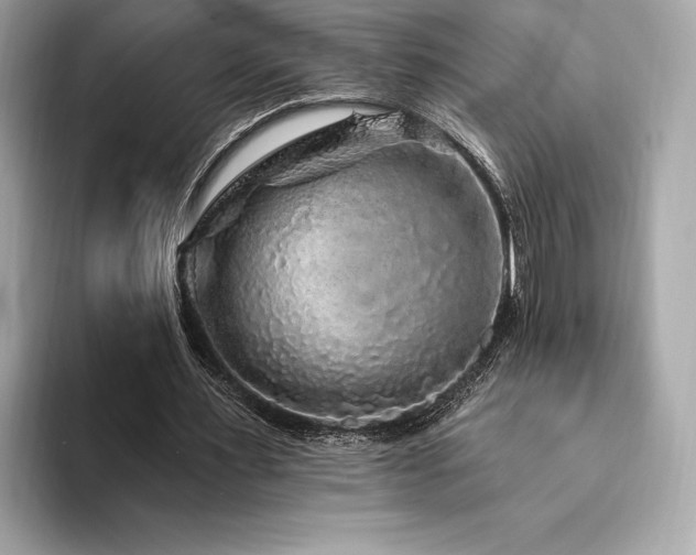 X0000094190483200710261134
