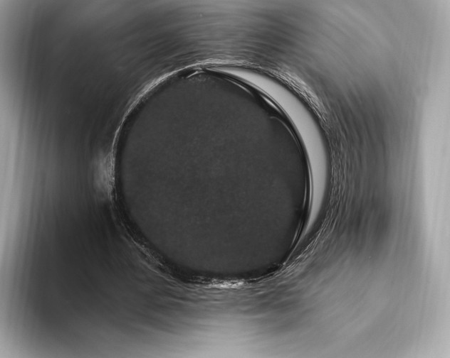 X0000094190484200710261134
