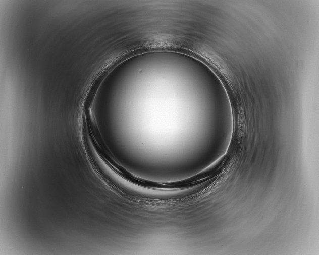 X0000094190485200710261134