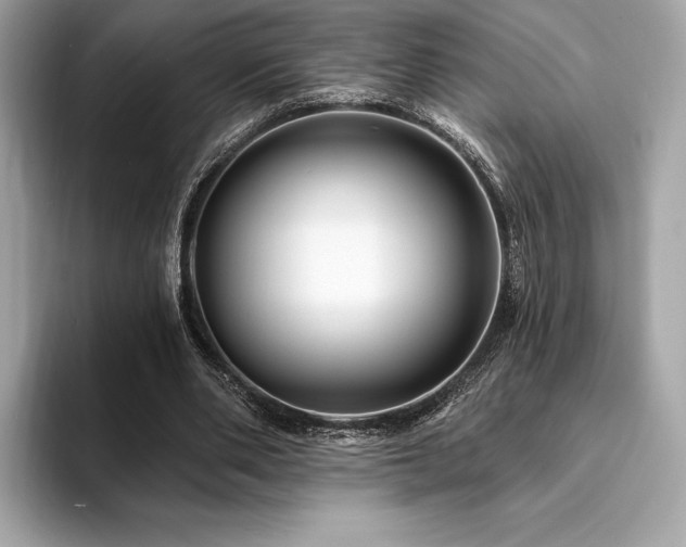 X0000094190486200710261134