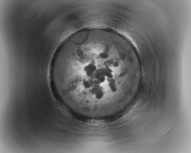 X0000094190487200710261134