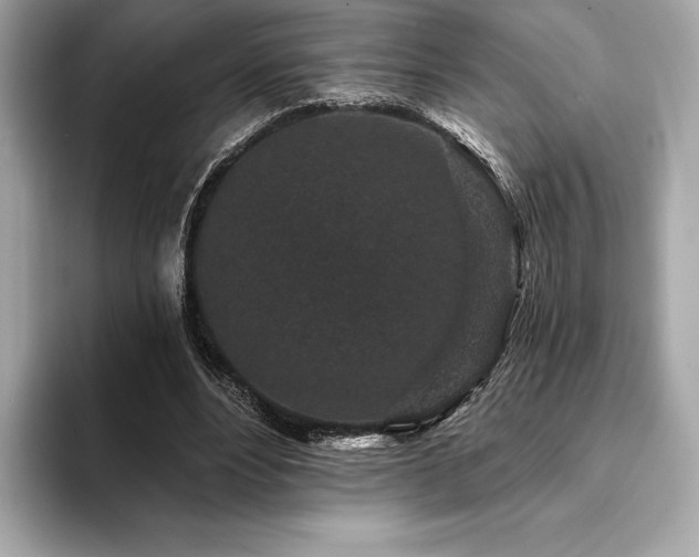 X0000094190488200710261134