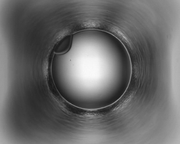 X0000094190490200710261134