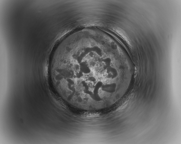 X0000094190491200710261134