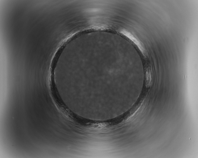 X0000094190492200710261134