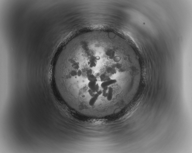 X0000094190495200710261134