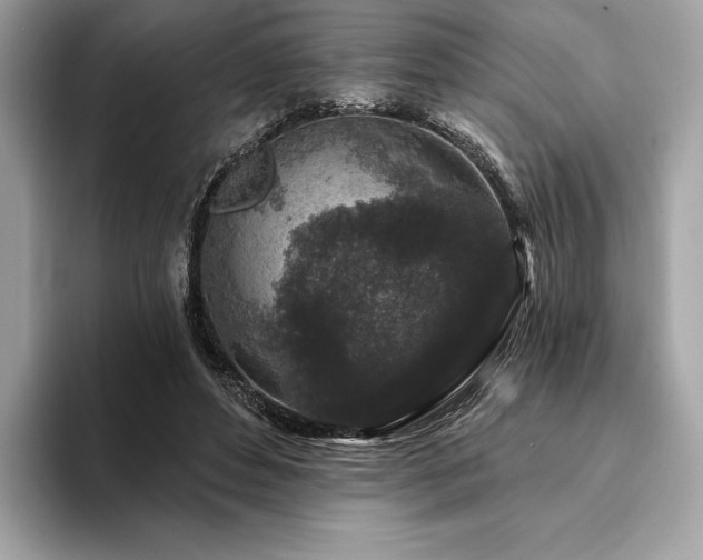 X0000094190496200710261134
