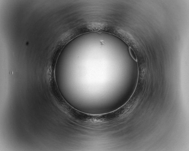 X0000094190498200710261134