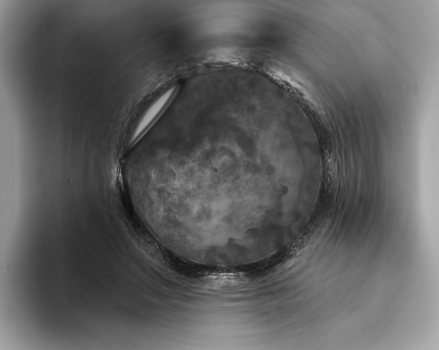 X0000094190499200710261134