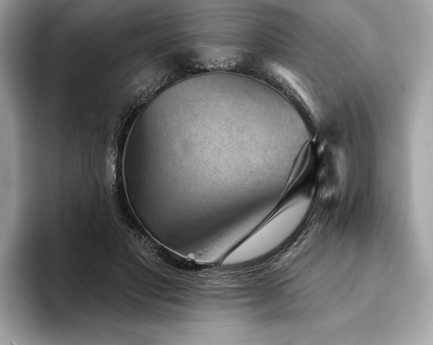 X0000094190501200710261134