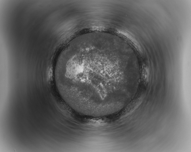 X0000094190502200710261134