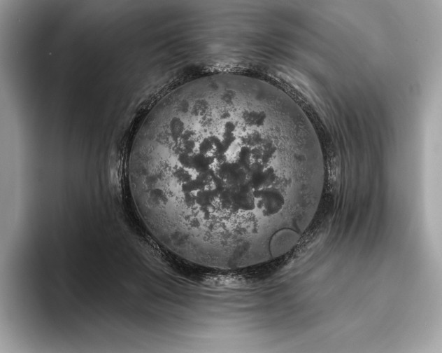 X0000094190503200710261134