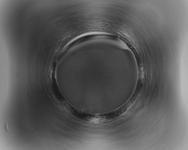X0000094190504200710261134