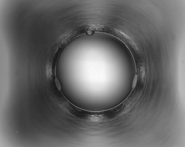 X0000094190508200710261134