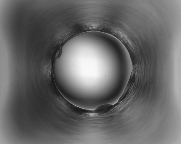 X0000094190509200710261134