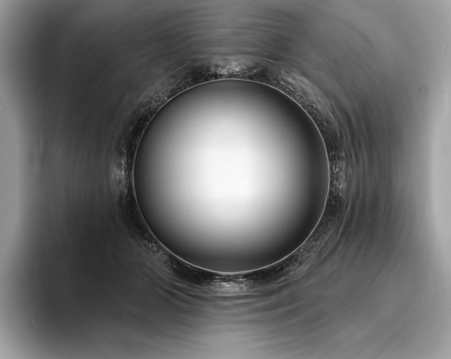 X0000094190510200710261134