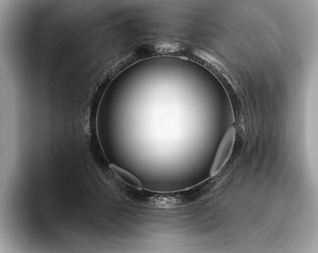 X0000094190512200710261134