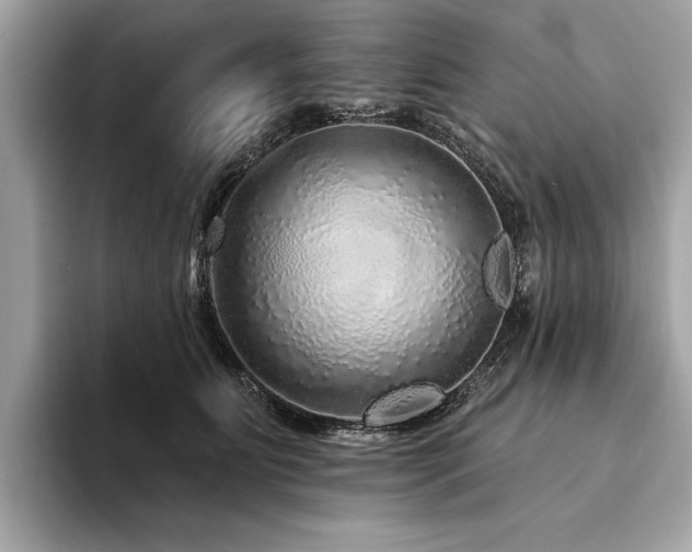 X0000094190515200710261134