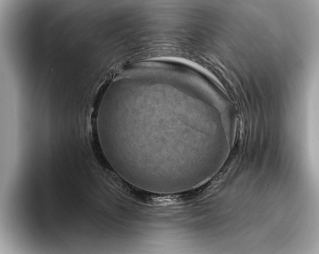 X0000094190516200710261134