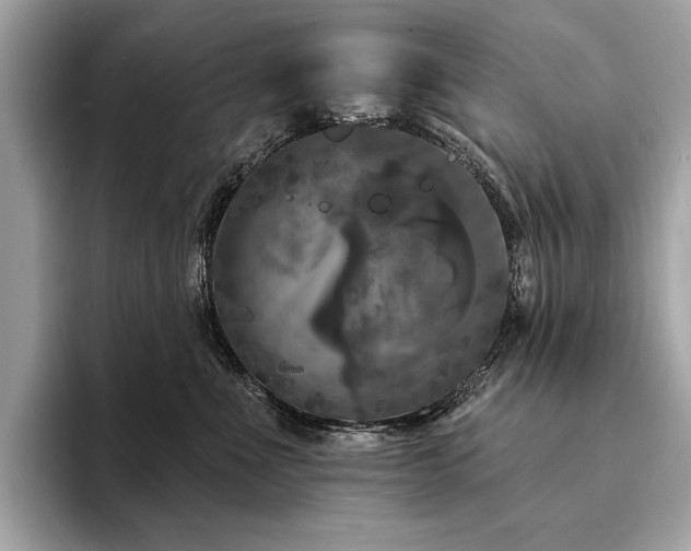 X0000094190523200710261134