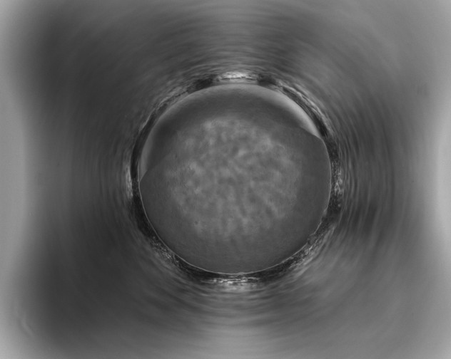 X0000094190524200710261134