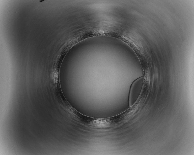 X0000094190526200710261134