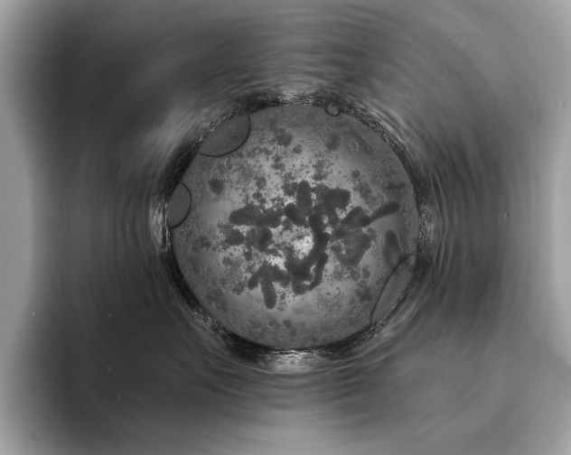 X0000094190527200710261134