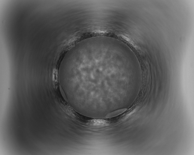 X0000094190528200710261134