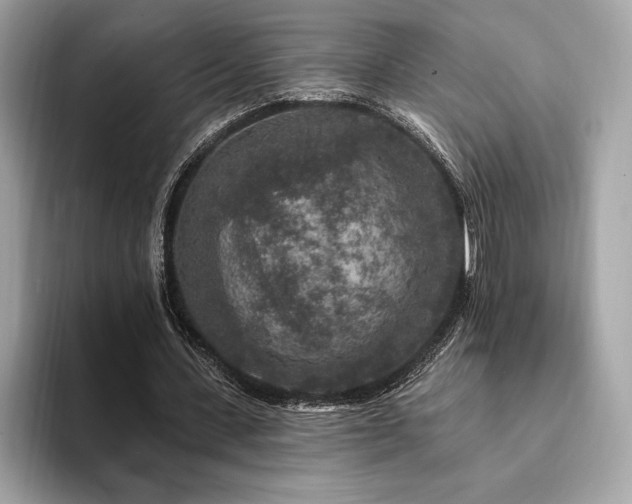 X0000094190531200710261133