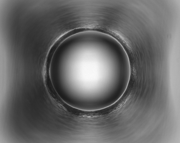 X0000094190532200710261133