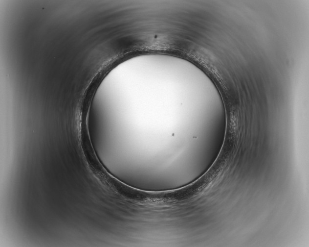X0000094190534200710261133