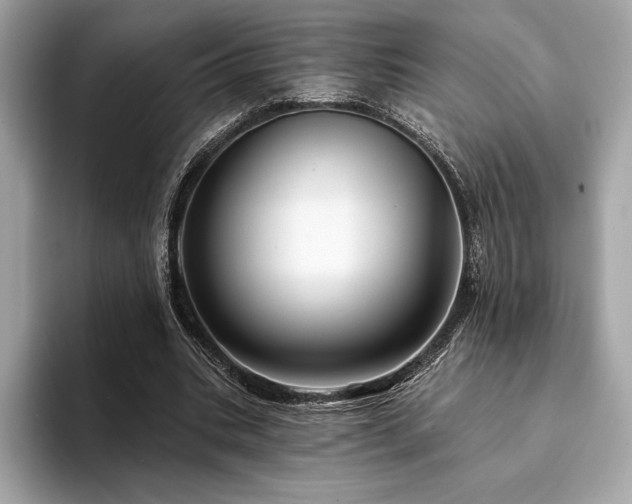X0000094190535200710261133