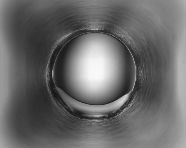 X0000094190536200710261133