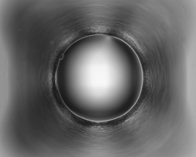 X0000094190538200710261133