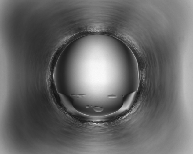 X0000094190540200710261133