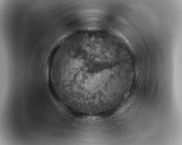 X0000094190542200710261133